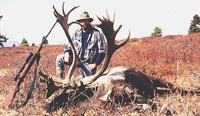 Caribou hunt