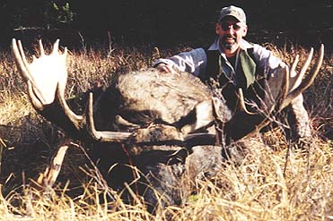 Any bull moose with visible antlers is legal though most of our bulls are in the 40 to 54 inch range