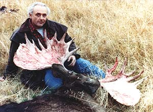Moose hunting with a high success rate