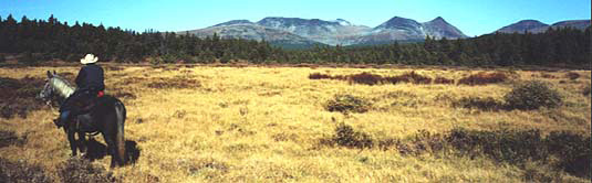 Panorama of our hunting territory